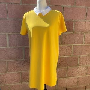 Zara Collared Mini Dress